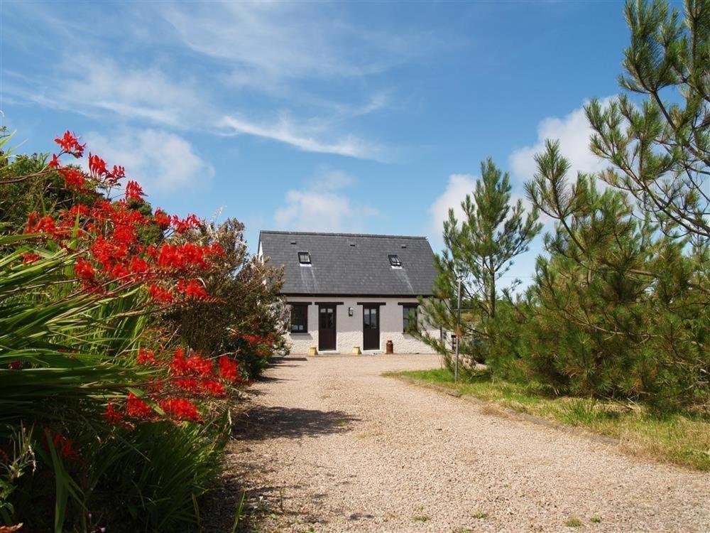Cockshead Cottage Saint Dogmaels Exterior photo
